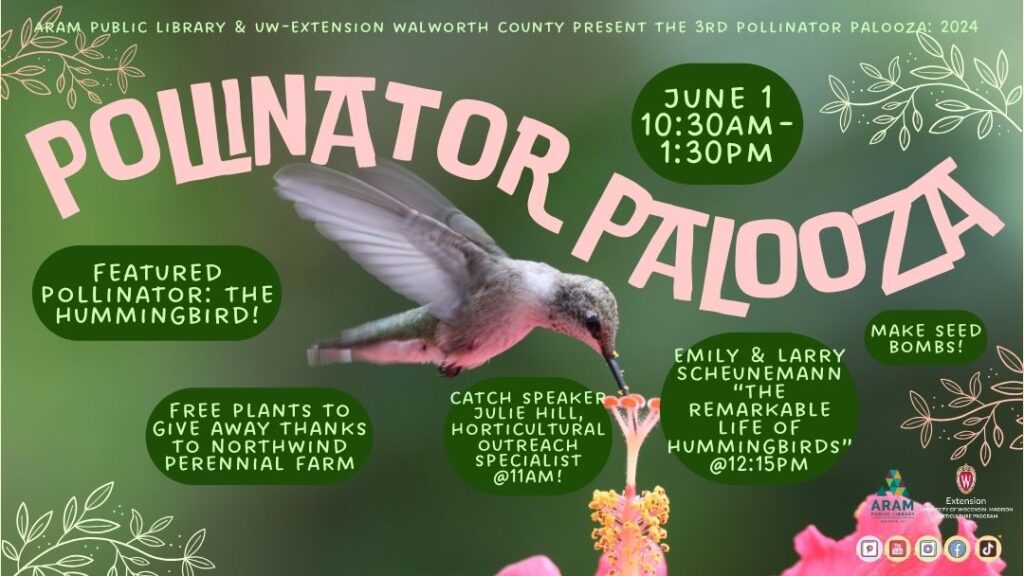 TEXT: Aram Public Library & UW-Extension Walworth County present the 3rd Pollinator Palooza: 2024. Pollinator Palooza. June 1st 10:30am-1:30pm. Featured pollinator: The hummingbird! free plants to give away thanks to Northwind Perennial Farm. catch speaker Julie Hill, horticultural outreach specialist @11am! Emily & Larry Scheunemann “The remarkable life of hummingbirds” @12:15pm. Make seed bombs!  IMAGE: Close-up image of a humming drinking nectar from a prink flower. Pollinator Palooza in big pink text over green background.